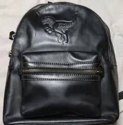 2026年最新】coach レキシー チャームの人気アイテム - メルカリ