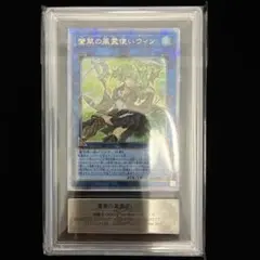 2026年最新】蒼翠の風霊使いウィン 25thの人気アイテム - メルカリ