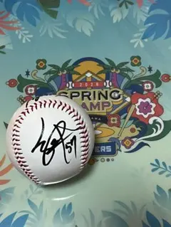 2026年最新】日本ハムファイターズ サインボールの人気アイテム - メルカリ