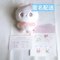 2026年最新】Nct サクヤ ぬいぐるみの人気アイテム - メルカリ