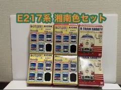 2026年最新】bトレ e217の人気アイテム - メルカリ