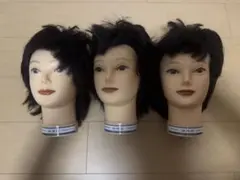 2026年最新】国家試験 ウィッグの人気アイテム - メルカリ