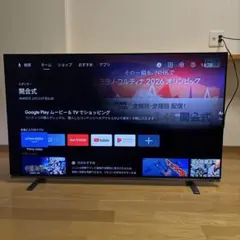 2026年最新】regza 55 有機elの人気アイテム - メルカリ