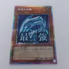 2026年最新】ブルーアイズ プリシクの人気アイテム - メルカリ