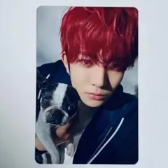 2026年最新】enhypen アンケートトレカ ヒスンの人気アイテム - メルカリ