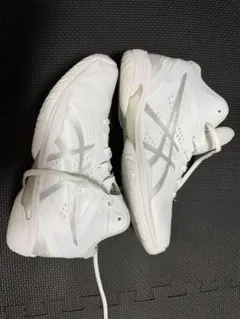 2026年最新】ゲルフープv16の人気アイテム - メルカリ