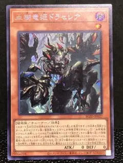 2026年最新】血樹竜姫ドラセレア シークレットの人気アイテム - メルカリ