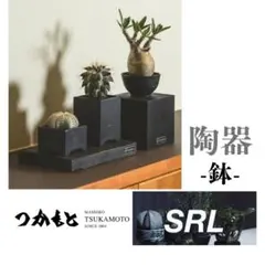 2026年最新】Srl 鉢の人気アイテム - メルカリ