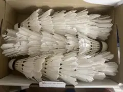 2026年最新】ノック用シャトルの人気アイテム - メルカリ