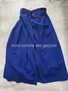 2026年最新】巻きスカート ギャルソンの人気アイテム - メルカリ