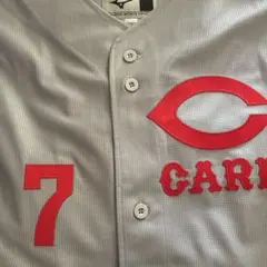 2026年最新】野村謙二郎の人気アイテム - メルカリ