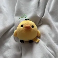 2026年最新】キイロイトリの人気アイテム - メルカリ