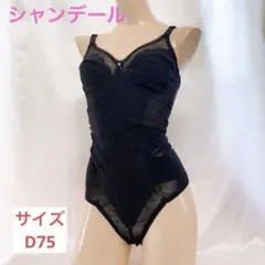 2026年最新】シャンデール ブラジャーの人気アイテム - メルカリ