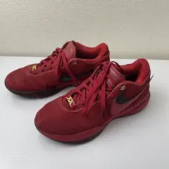 2026年最新】レブロン20epの人気アイテム - メルカリ