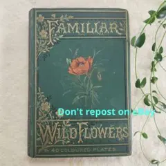 2026年最新】アンティーク植物図鑑の人気アイテム - メルカリ