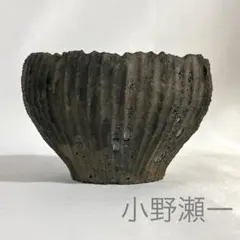 2026年最新】小野瀬一の人気アイテム - メルカリ