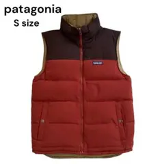 2026年最新】patagonia パタゴニア ビビーダウンベストの人気アイテム