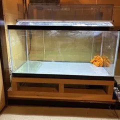 2026年最新】アクリル水槽90の人気アイテム - メルカリ