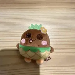 2026年最新】riize ウンソク ぬいぐるみの人気アイテム - メルカリ