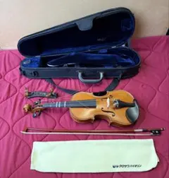 2026年最新】gliga バイオリンの人気アイテム - メルカリ