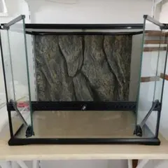 2026年最新】グラステラリウム6045の人気アイテム - メルカリ