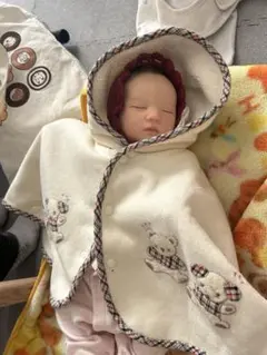 m17556306390_1.jpg?1769500360