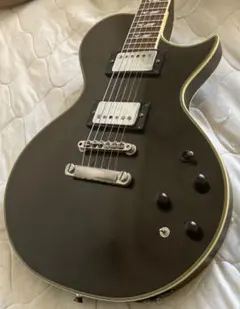 2026年最新】サスティナー fernandesの人気アイテム - メルカリ