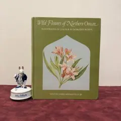 2026年最新】植物図鑑 洋書の人気アイテム - メルカリ