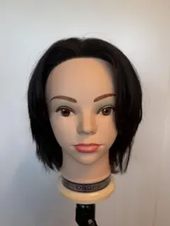 2026年最新】国家試験 ウィッグの人気アイテム - メルカリ