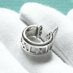 2026年最新】ティファニー アトラス ピアスの人気アイテム - メルカリ