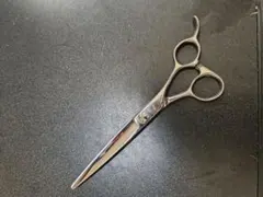 2026年最新】鋏の若菜の人気アイテム - メルカリ