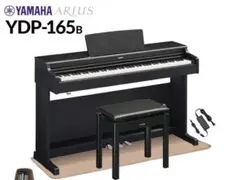 2026年最新】ydp-165の人気アイテム - メルカリ