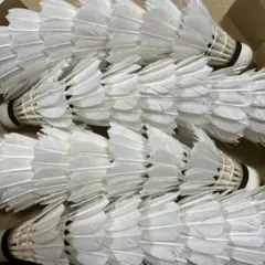 2026年最新】エアロセンサ500の人気アイテム - メルカリ