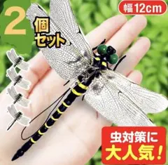 2026年最新】標本 オニヤンマの人気アイテム - メルカリ