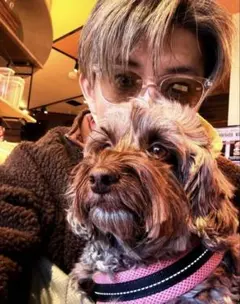 2026年最新】love ear art reversibleの人気アイテム - メルカリ