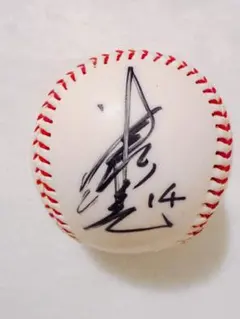 2026年最新】津田恒実サインの人気アイテム - メルカリ