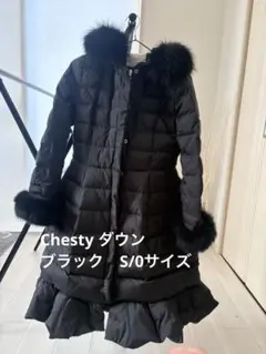 2026年最新】Chesty ダウンジャケットの人気アイテム - メルカリ