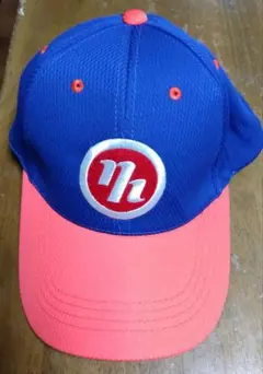 2026年最新】北海道日本ハムファイターズ リーグ名/大会名：パ・リーグ