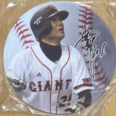 2026年最新】大城卓三 サインボールの人気アイテム - メルカリ