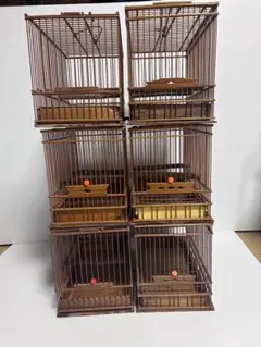 2026年最新】メジロ籠 めじろ籠の人気アイテム - メルカリ