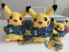 2026年最新】バカンスピカチュウの人気アイテム - メルカリ