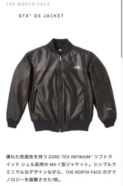 2026年最新】ノースフェイス gtx q3の人気アイテム - メルカリ