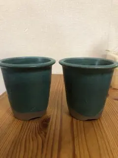 2026年最新】伝市 鉢の人気アイテム - メルカリ