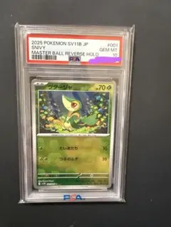 2026年最新】ツタージャ マスターボールミラーの人気アイテム - メルカリ