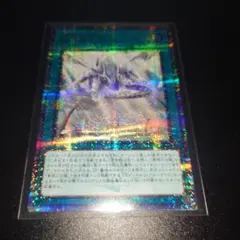 2026年最新】青き眼の祈り シークレットの人気アイテム - メルカリ