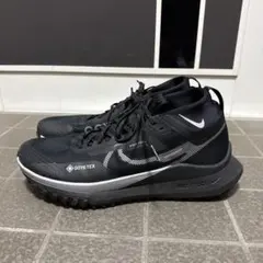 2026年最新】nike ペガサストレイル3 gore-texの人気アイテム - メルカリ