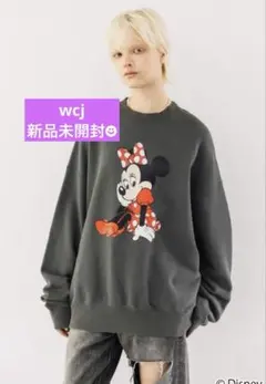 2026年最新】wcj ミニーの人気アイテム - メルカリ