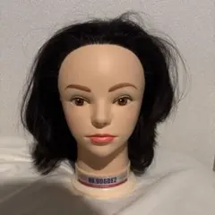 2026年最新】国試ウィッグの人気アイテム - メルカリ
