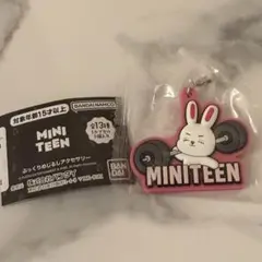 2026年最新】ミニティーン seventeen エスクプスの人気アイテム - メルカリ