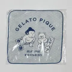 2026年最新】湊川親方の人気アイテム - メルカリ